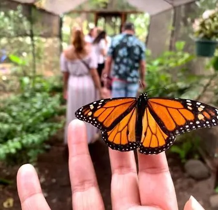 Apartamento Ht Houseboats - Na Wodzie - Sauna, View Mielno (Koszalin)